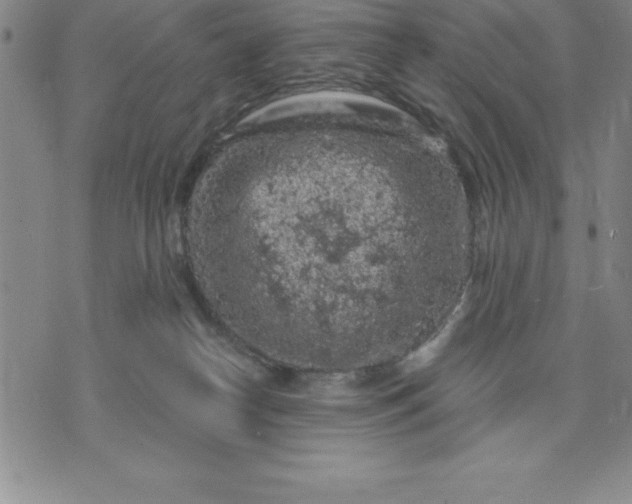 X0000071850182200607141759