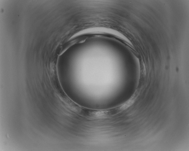 X0000071850184200607141759