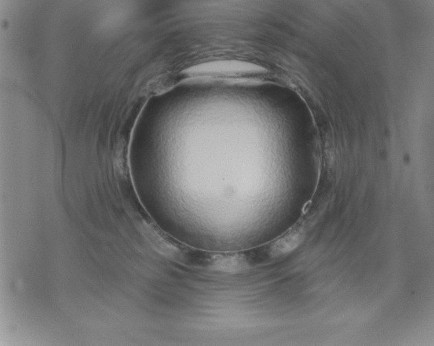 X0000071850185200607141759