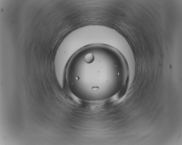 X0000071850188200607141759