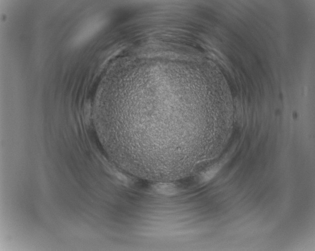 X0000071850189200607141759