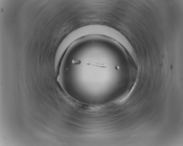 X0000071850190200607141759