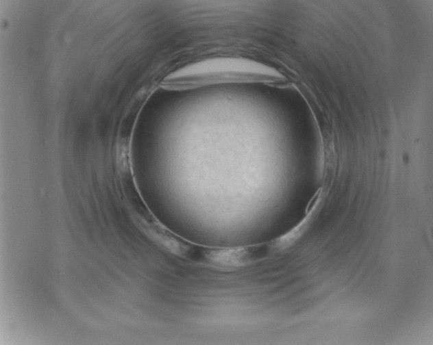 X0000071850191200607141759