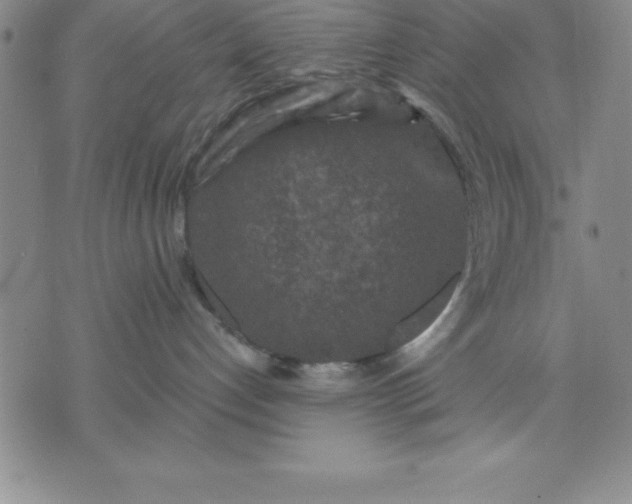 X0000071850192200607141759