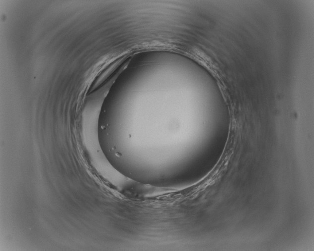 X0000071850193200607141758