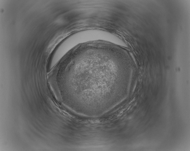 X0000071850194200607141758