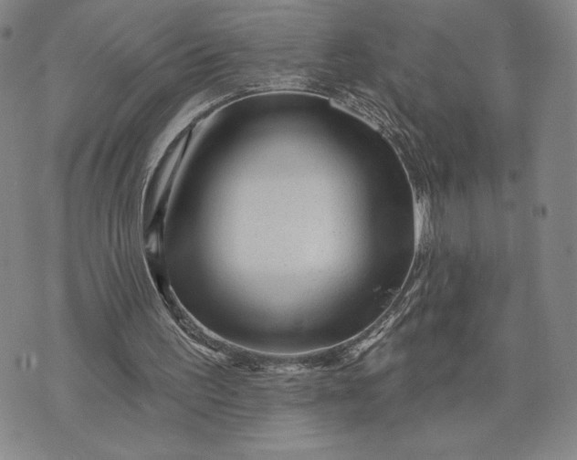 X0000071850195200607141758