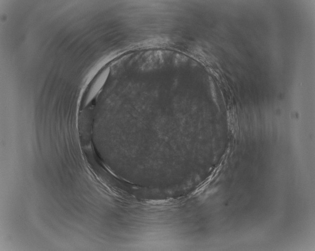 X0000071850196200607141758