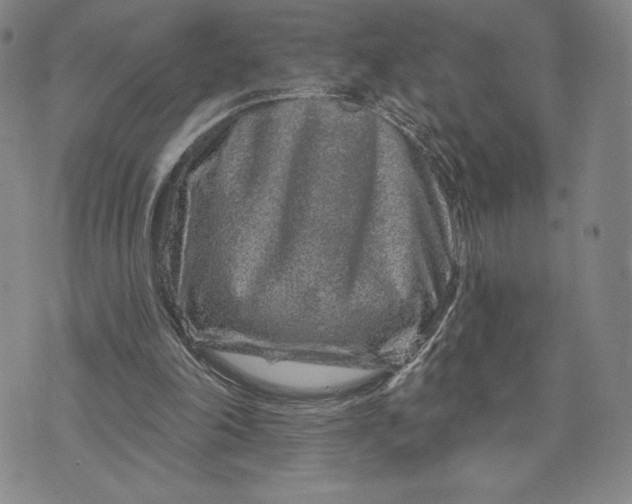 X0000071850198200607141758