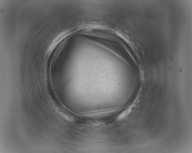 X0000071850199200607141758