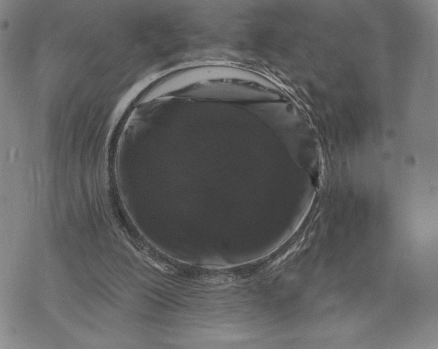 X0000071850200200607141758