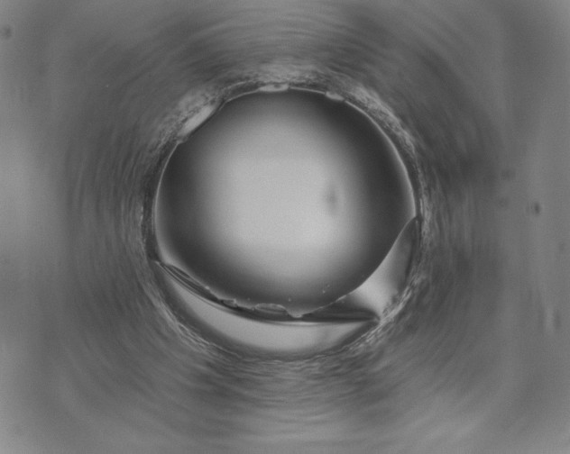 X0000071850201200607141758