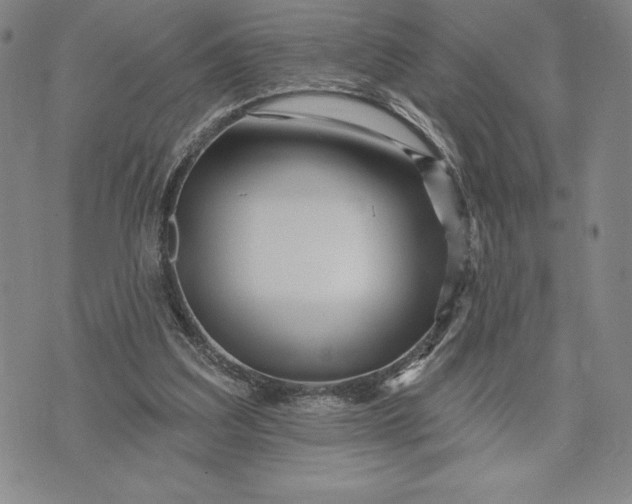 X0000071850203200607141758