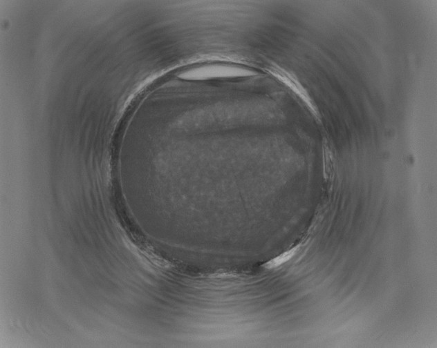 X0000071850204200607141758