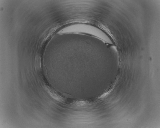 X0000071850205200607141758