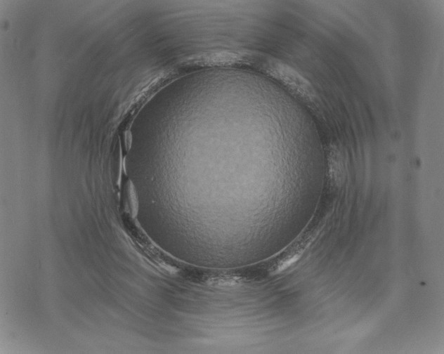 X0000071850206200607141758