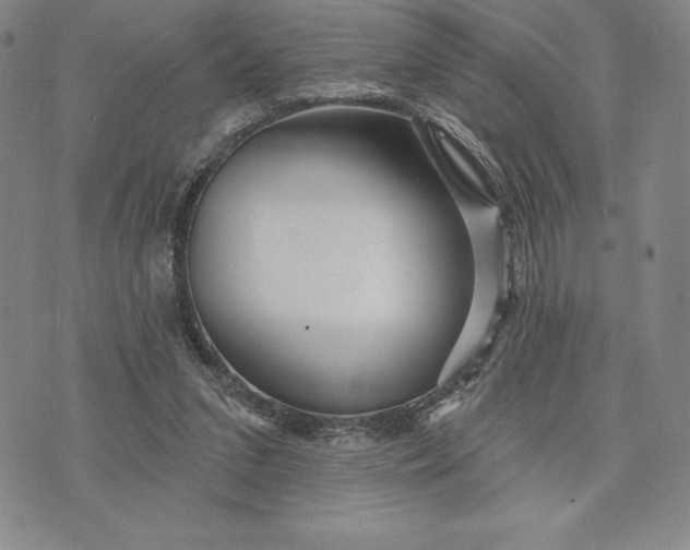 X0000071850207200607141758