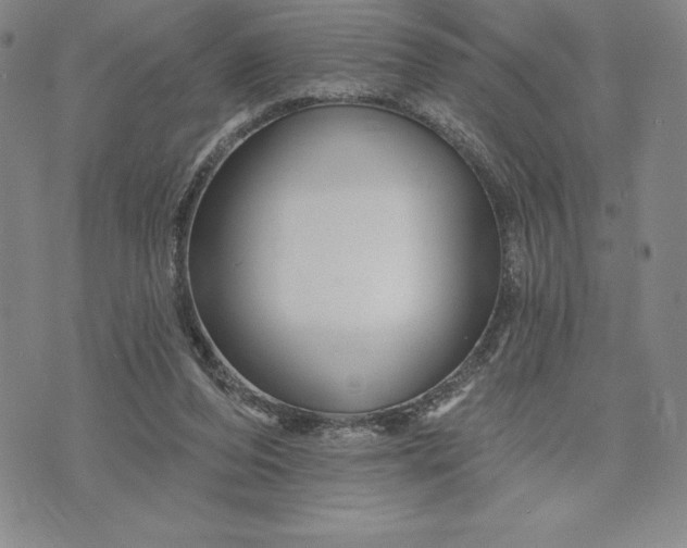 X0000071850208200607141758