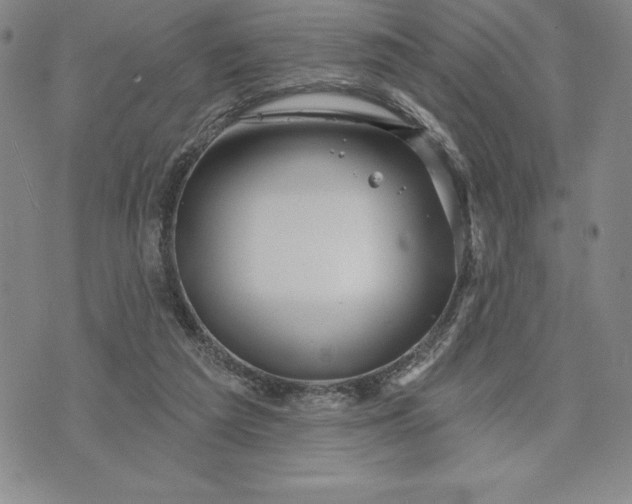 X0000071850209200607141758