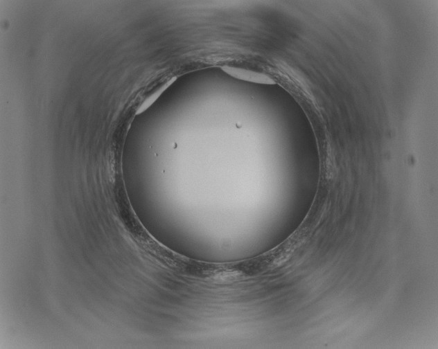 X0000071850210200607141758