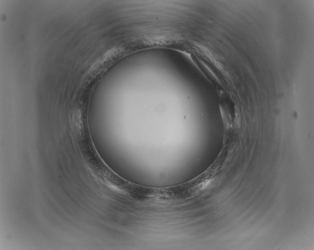 X0000071850211200607141758