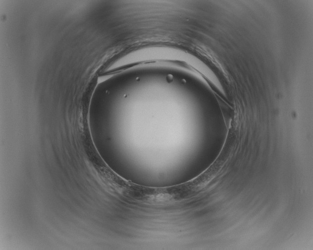 X0000071850212200607141758