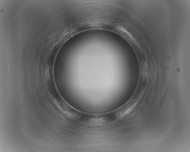 X0000071850213200607141758