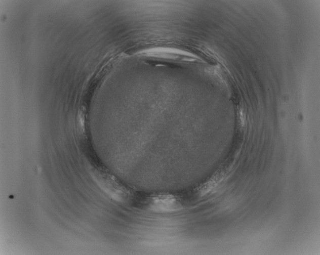 X0000071850214200607141758