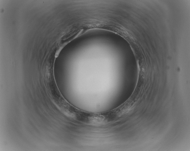 X0000071850215200607141758