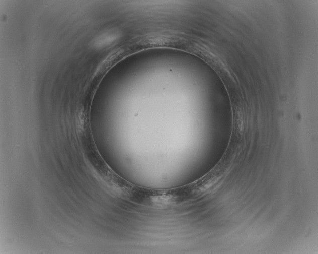 X0000071850216200607141758