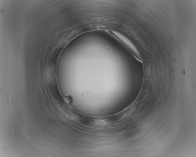 X0000071850218200607141758