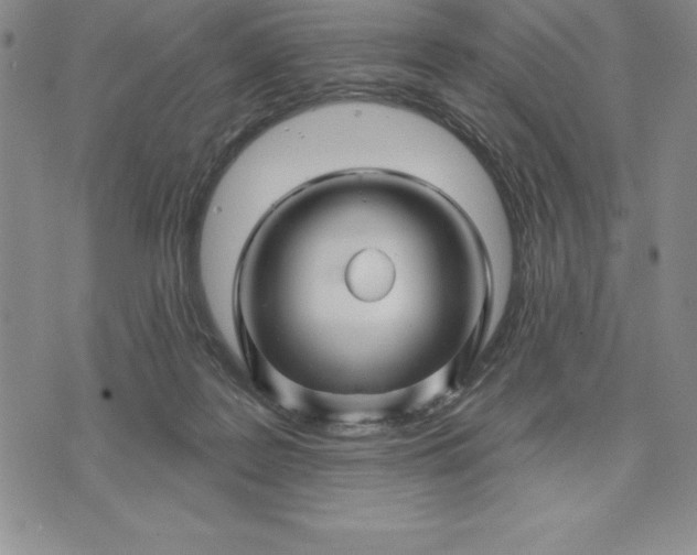 X0000071850219200607141758