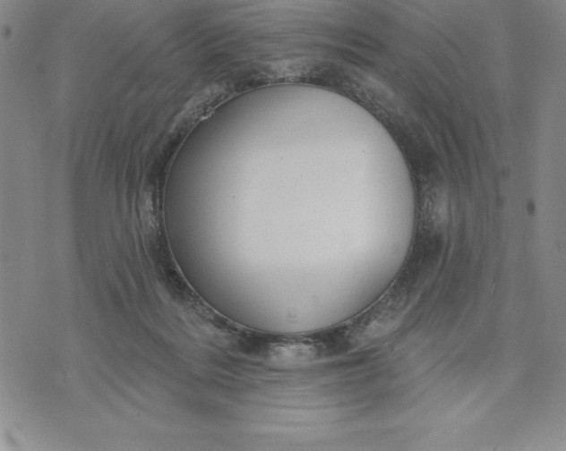 X0000071850220200607141758