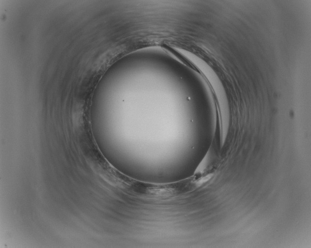 X0000071850221200607141758