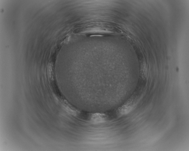 X0000071850222200607141758