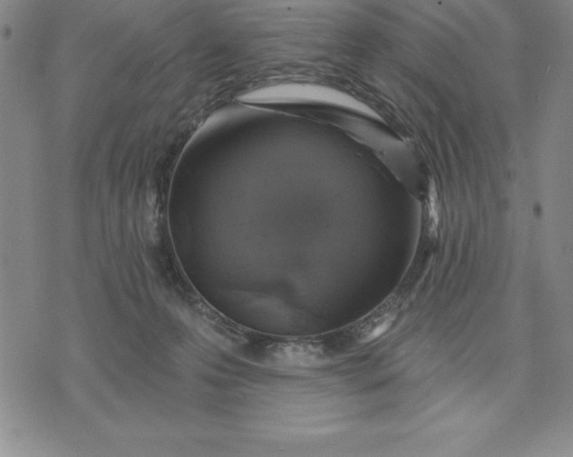 X0000071850223200607141758