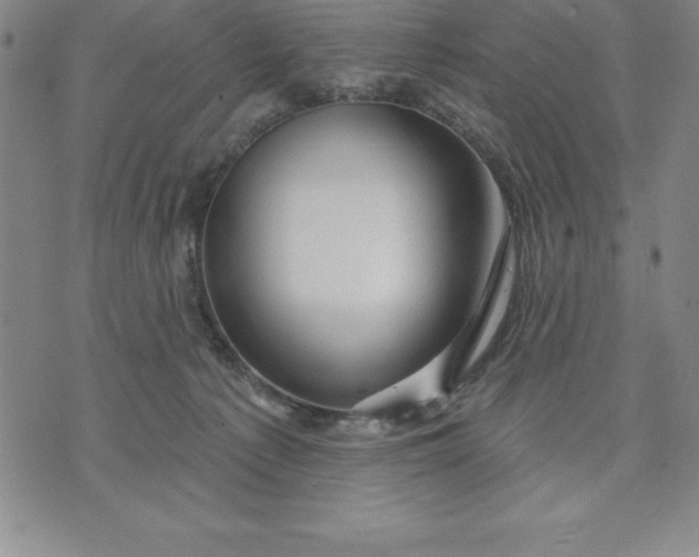 X0000071850225200607141758