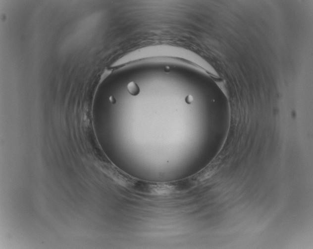 X0000071850226200607141758