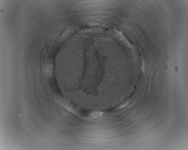 X0000071850227200607141758