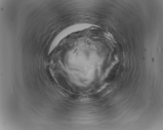 X0000071850228200607141758