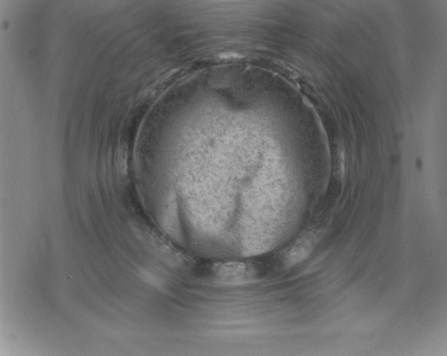 X0000071850230200607141758