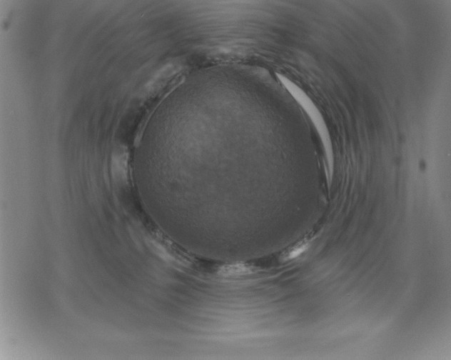 X0000071850231200607141758