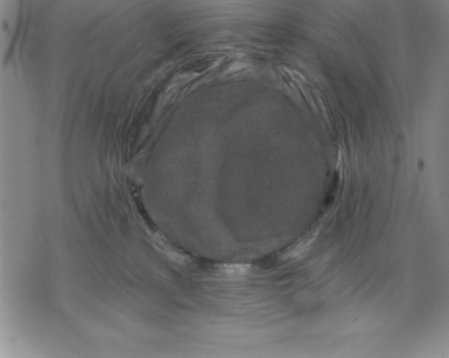 X0000071850233200607141758