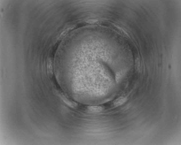 X0000071850234200607141758