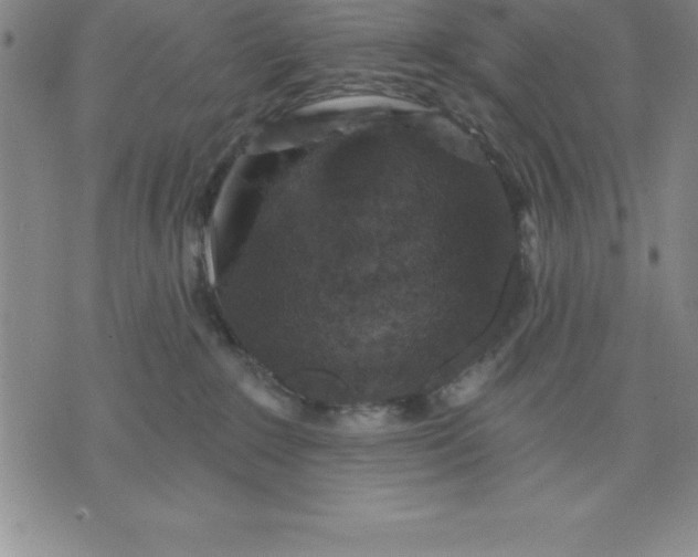 X0000071850235200607141758