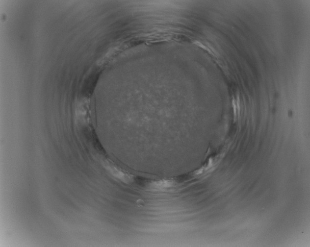 X0000071850237200607141758