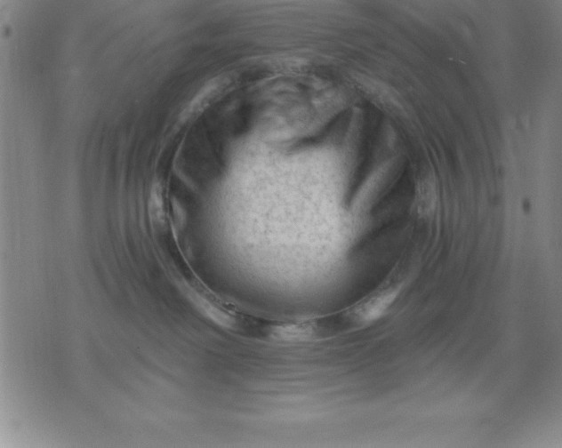 X0000071850238200607141758