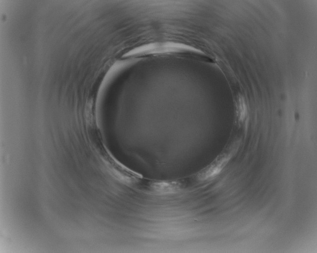 X0000071850239200607141758