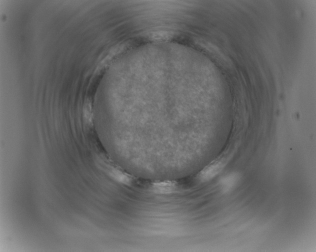 X0000071850240200607141758