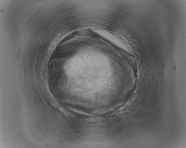 X0000071850241200607141757